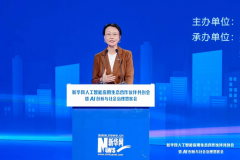 <b>提醒词防、输出内审核</b>